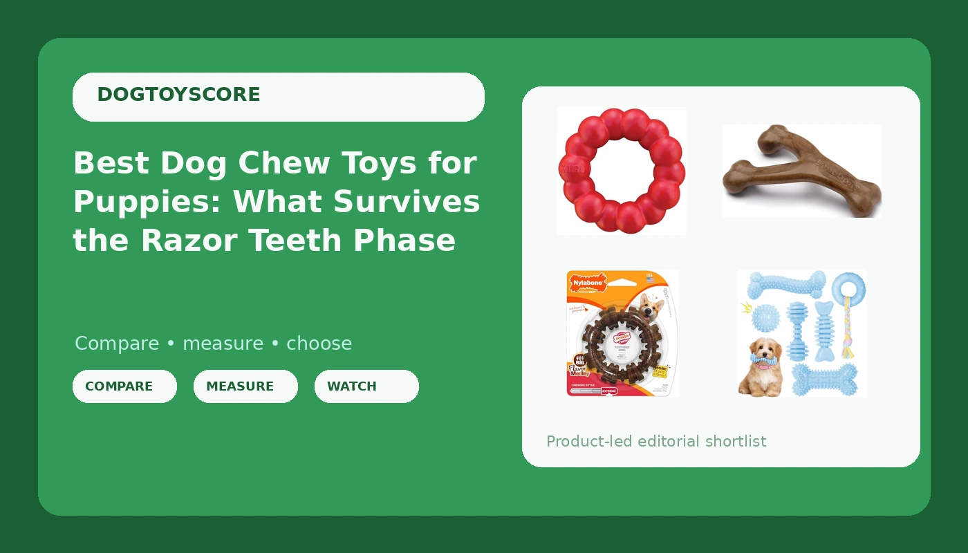 Best Dog Chew Toys for Puppies: What Survives the Razor Teeth Phase - DogToyScore review with measurements and honest opinion