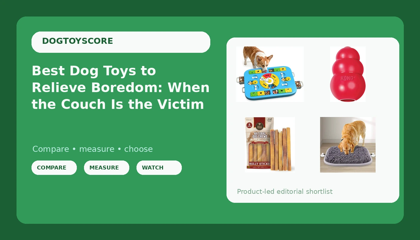 Best Dog Toys to Relieve Boredom: When the Couch Is the Victim - DogToyScore review with measurements and honest opinion