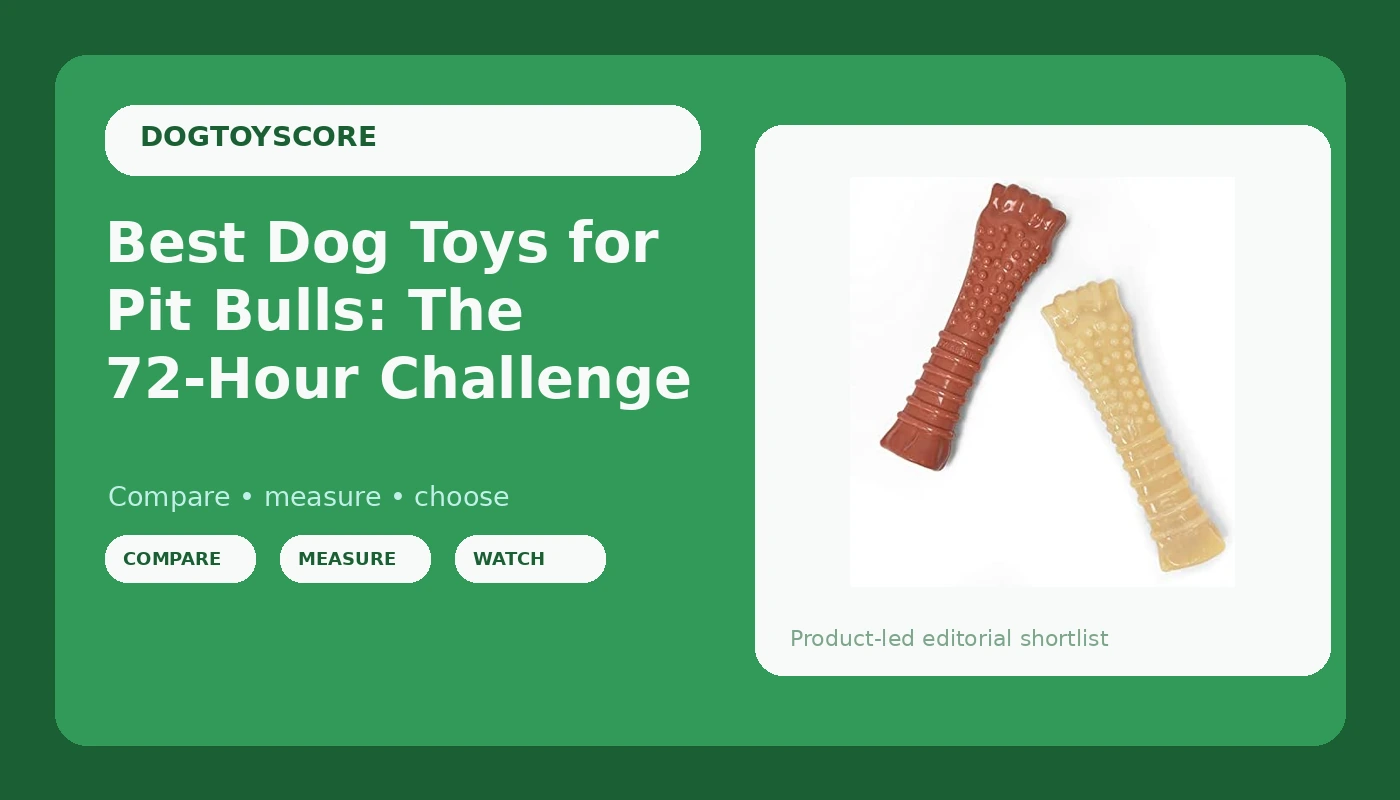 Best Dog Toys for Pit Bulls: The 72-Hour Challenge - DogToyScore review with measurements and honest opinion