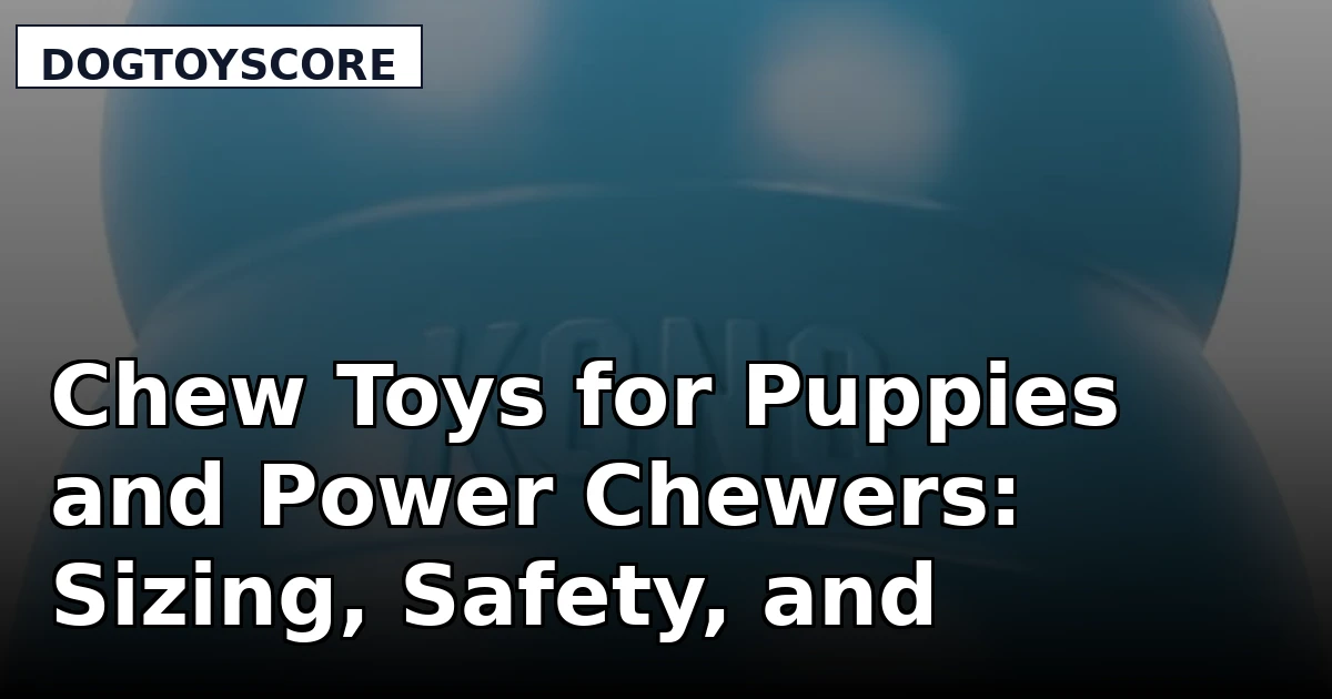 Chew Toys for Puppies and Power Chewers: Sizing, Safety, and Durability