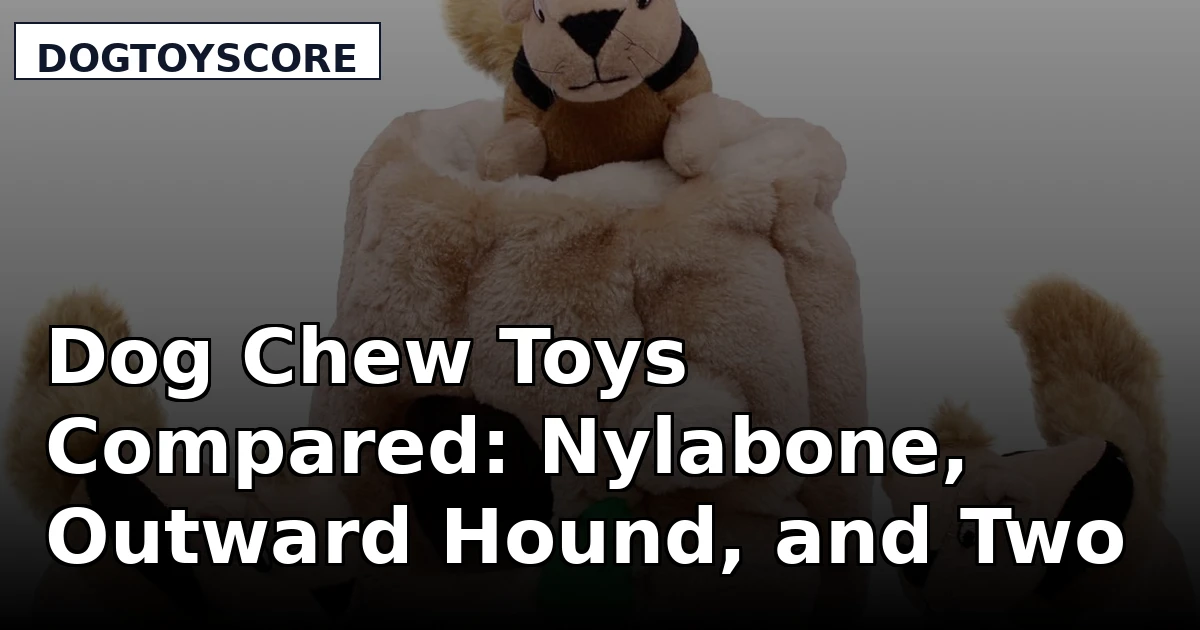 Dog Chew Toys Compared: Nylabone, Outward Hound, and Two Teething Picks