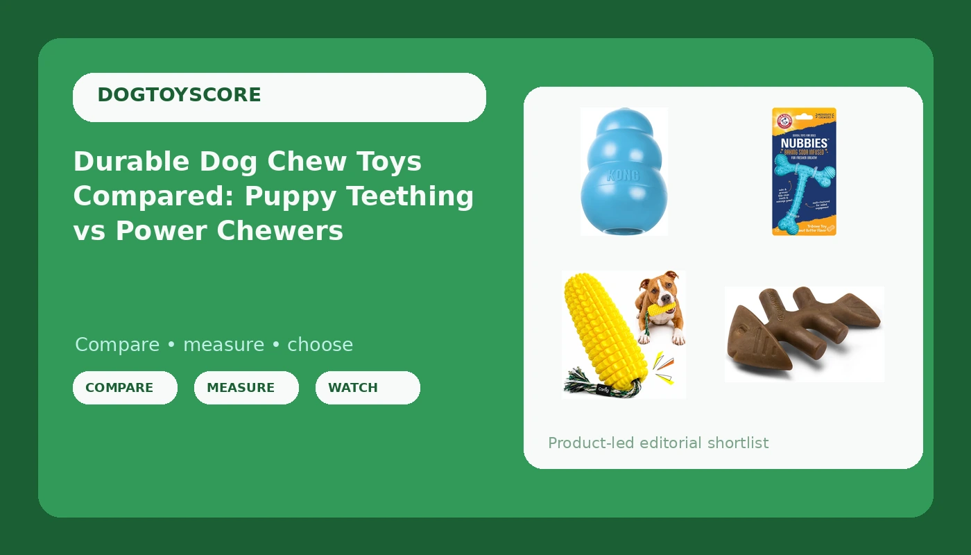 Durable Dog Chew Toys Compared: Puppy Teething vs Power Chewers