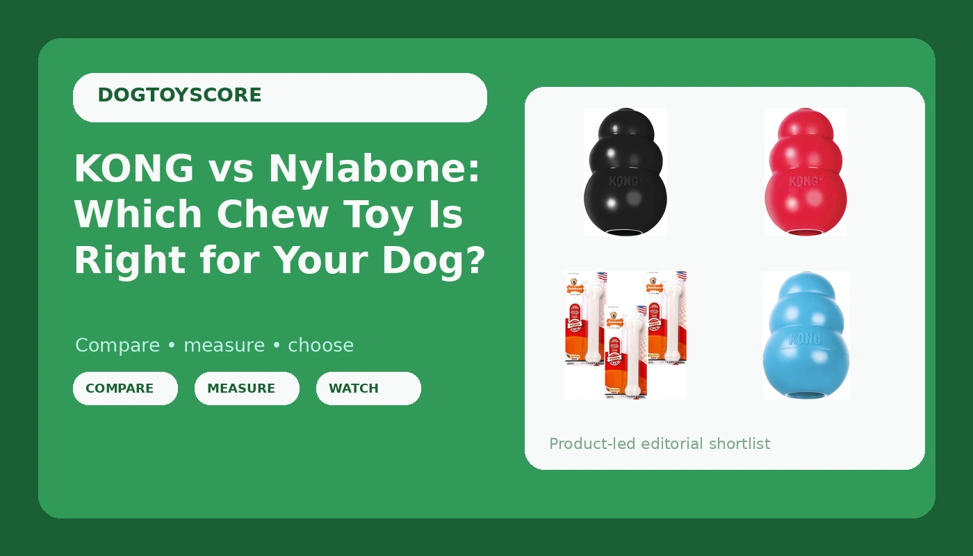 KONG vs Nylabone: Which Chew Toy Is Right for Your Dog? - DogToyScore review with measurements and honest opinion