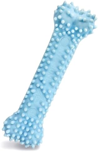 Nylabone Puppy Pacifier Chew Toy, Teething Toys for Puppies up to 25 lbs