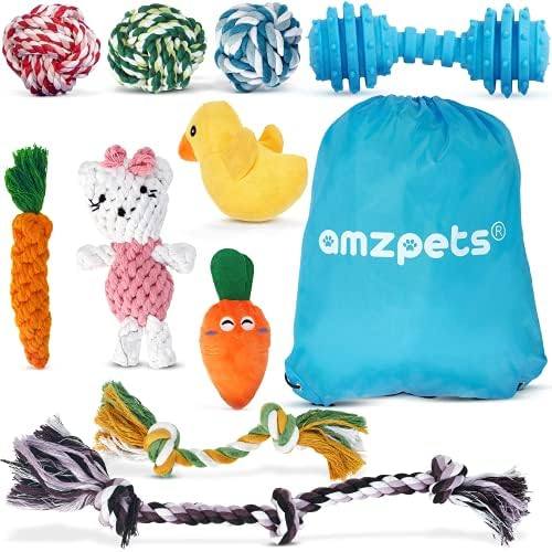 AMZpets' 10-Piece Variety Dog Toy Set for Small Dogs & Puppies: Squeaky, Rope, Plush, Chew, Ball, Rubber Bone Toys & Carry Bag