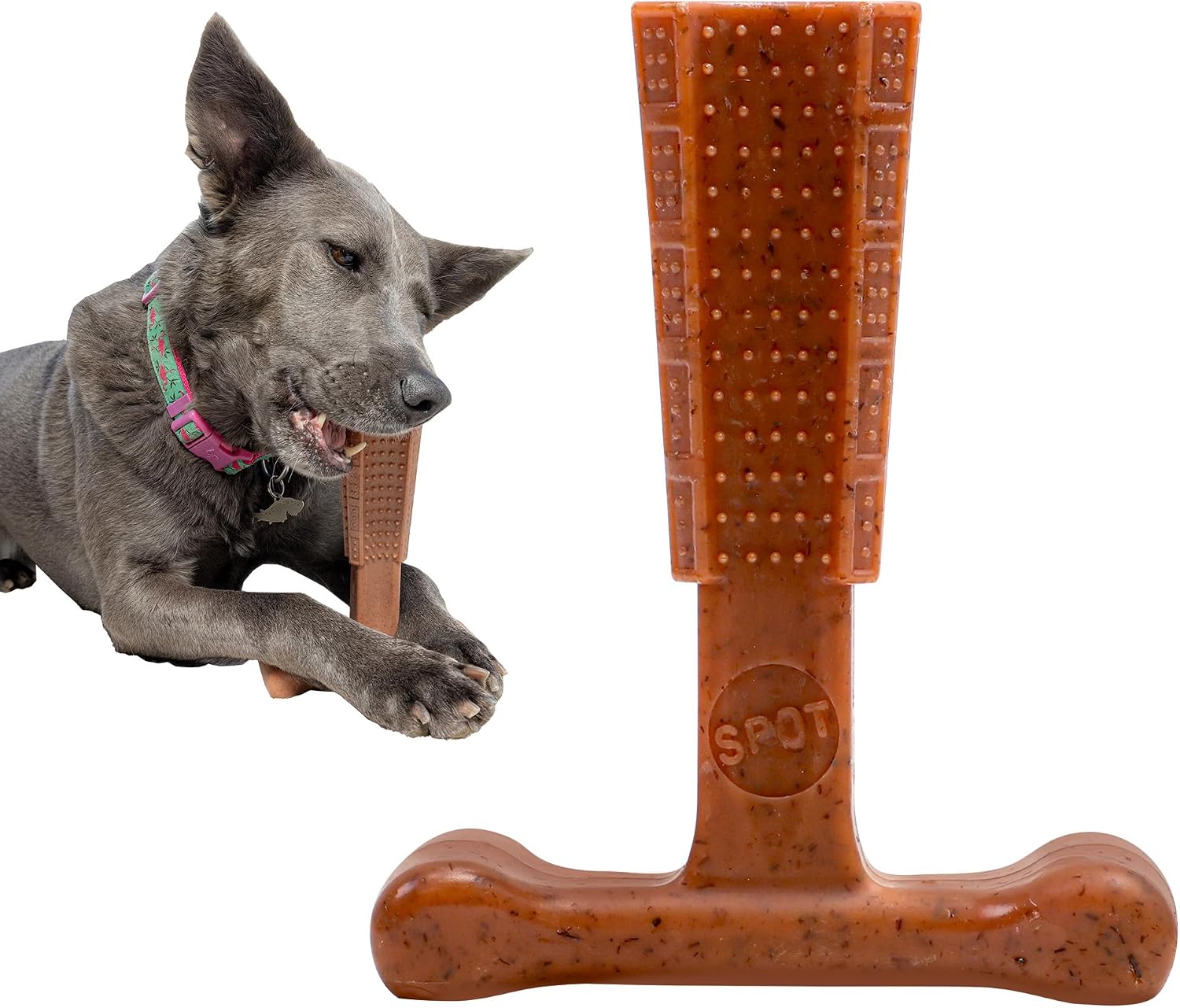SPOT Bam-Bones Plus T-Bone Dog Chew, Beef, 6in, 30-60 lb Heavy Chewers