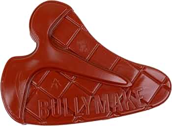 Pet Supplies : BULLYMAKE Tough Chew Steak Toy for Dogs, Durable Nylon,...
