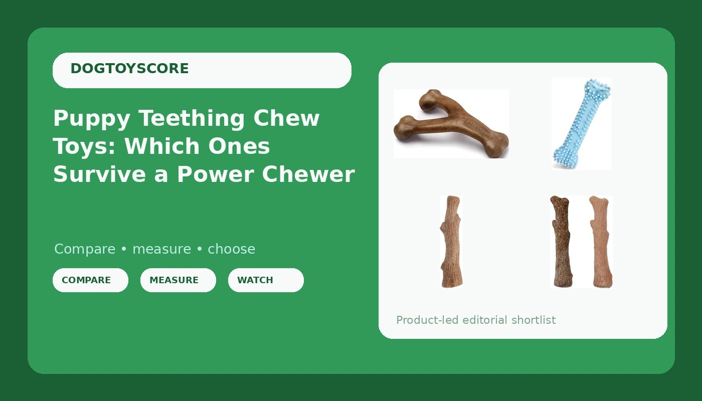 Puppy Teething Chew Toys: Which Ones Survive a Power Chewer