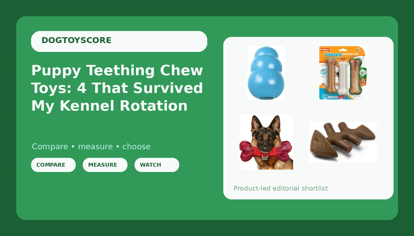 Puppy Teething Chew Toys: 4 That Survived My Kennel Rotation